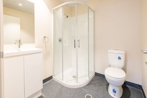 Photo of property in Te Kainga Te Aka, 203 Willis Street, Te Aro, Wellington, 6011