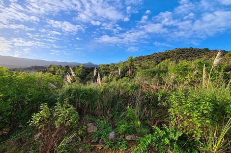 Photo of property in 1830 Colville Road, Amodeo Bay, Coromandel, 3584