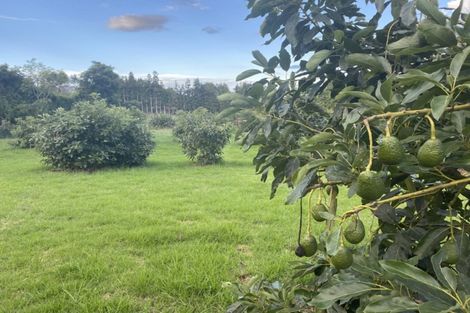 Photo of property in 109a Plummer Road, Whakamarama, Tauranga, 3179