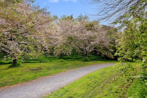 Photo of property in 45 Acornia Close, Ohauiti, Tauranga, 3112