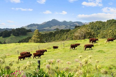 Photo of property in 53 Nursery Lane, Papamoa, 3118