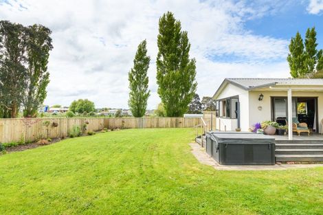 Photo of property in 74 Mill Street, Marton, 4710