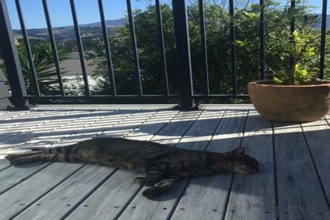 Photo of property in 6a Manukau Road, Raglan, 3225