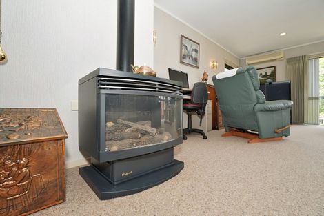 Photo of property in 52 Grosvenor Gardens, Flagstaff, Hamilton, 3210