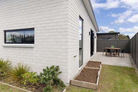 Photo of property in 47 Sentinel Avenue, Omokoroa, 3114