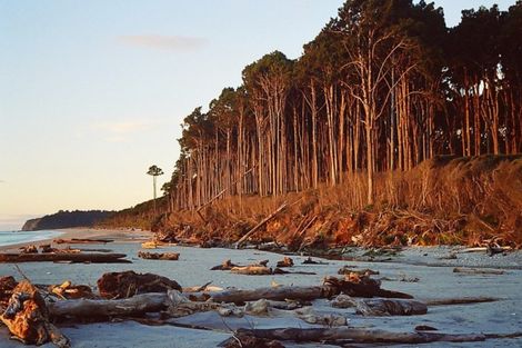 Photo of property in 4667 Haast Highway, Bruce Bay, Haast, 7886