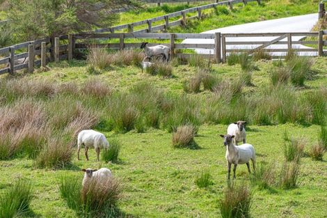 Photo of property in 2265 South Head Road, South Head, Helensville, 0874