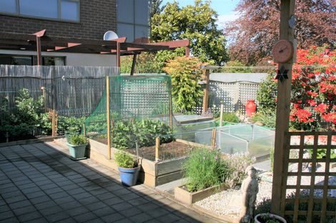 Photo of property in 10 Thames Street, Mosgiel, 9024