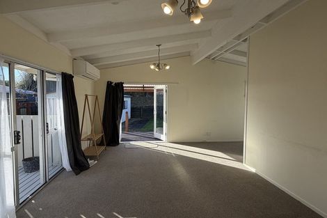 Photo of property in 29 Riley Place, Fitzroy, Hamilton, 3206
