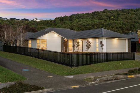 Photo of property in 217 Lakes Boulevard, Pyes Pa, Tauranga, 3112