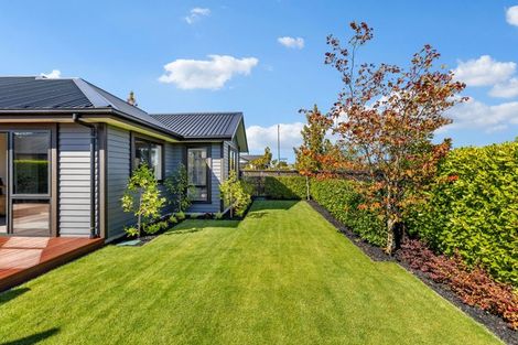 Photo of property in 42 Te Rito Street, Marshland, Christchurch, 8083