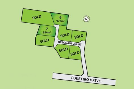 Photo of property in 7 Debonair Court, Feilding, 4702