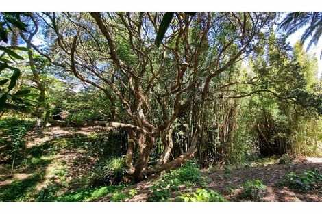 Photo of property in 57 Hauraki Road, Leigh, Warkworth, 0985