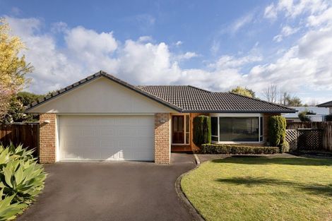 Photo of property in 21 Arrowfield Drive, Pyes Pa, Tauranga, 3112