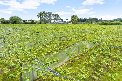 Photo of property in 988 Otaika Valley Road, Maungatapere, Whangarei, 0170