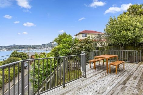 Photo of property in 41 Shandon Road, Vauxhall, Dunedin, 9013