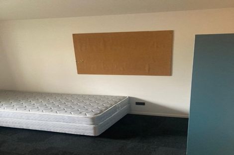 Photo of property in 3/125 Carrington Road, Point Chevalier, Auckland, 1025