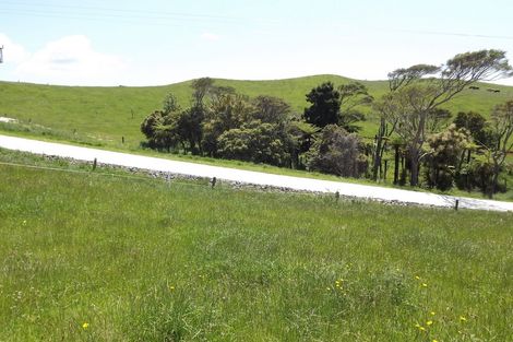 Photo of property in 23 Centrebush Lane, Raglan, 3295