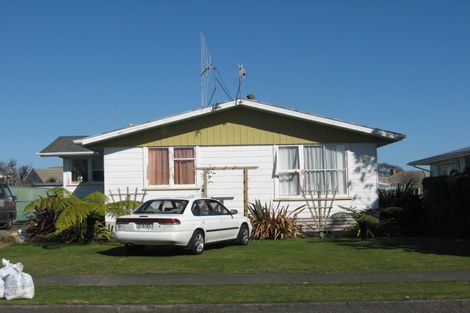Photo of property in 50 Hinemoa Street, Levin, 5510