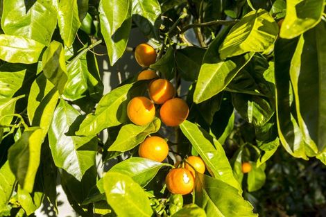 Photo of property in 10a Stephen Street, Trentham, Upper Hutt, 5018