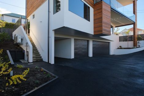 Photo of property in 18 Selkirk Street, Roslyn, Dunedin, 9010