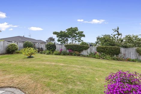 Photo of property in 4 Golden Heights, Hairini, Tauranga, 3112