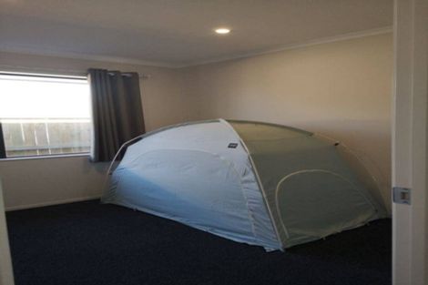 Photo of property in 16 Hehan Close, Cambridge, 3434