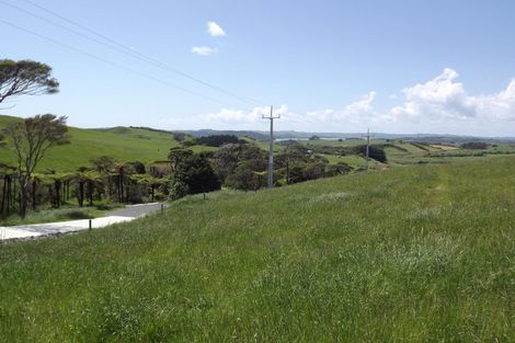 Photo of property in 23 Centrebush Lane, Raglan, 3295