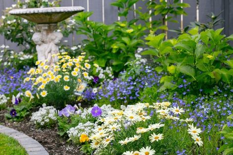 Photo of property in 21 Saltwood Lane, Bethlehem, Tauranga, 3110