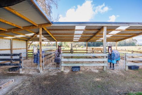 Photo of property in 102 No 1 Line, Westbrook, Palmerston North, 4475