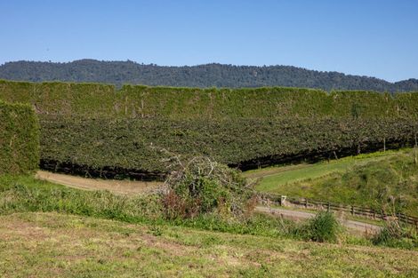 Photo of property in 81 Dunlop Road, Te Puke, 3119