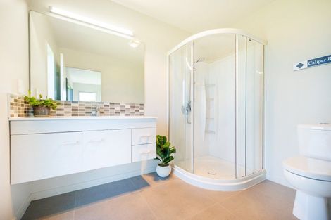 Photo of property in 25 Paradise Avenue, Feilding, 4775