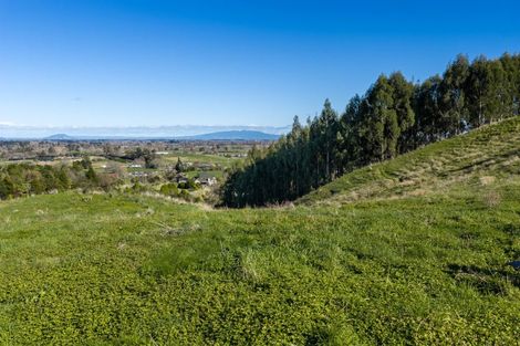 Photo of property in 265 Maungakawa Road, Cambridge, 3496