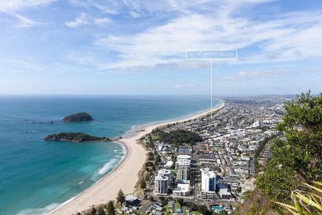 Photo of property in 47a Te Ngaio Road, Mount Maunganui, 3116