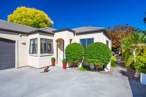 Photo of property in 32a Horne Street, Hamilton Central, Hamilton, 3204