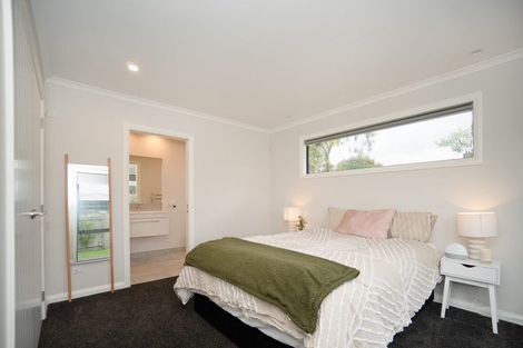 Photo of property in 55a Ferguson Street, Awapuni, Palmerston North, 4412