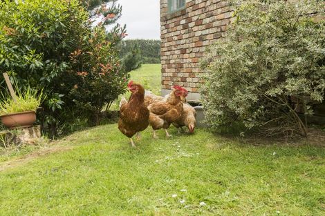 Photo of property in 289 Wright Road, Aongatete, Katikati, 3181