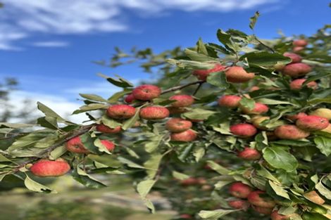 Photo of property in 44 Golf Road, Wakefield, 7025