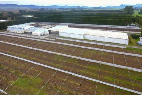 Photo of property in 11 Trig Road, Waihi, 3681