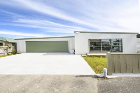Photo of property in 146 Manchester Street, Feilding, 4702