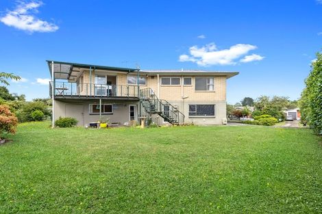 Photo of property in 1 Thornton Street, Putaruru, 3411