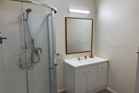 Photo of property in 33 Bowen Street, Levin, 5510