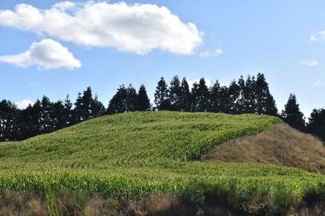 Photo of property in 936 Mangatete Road, Ngakuru, Rotorua, 3077