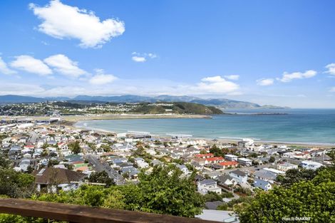 Photo of property in 45 Carlton Street, Melrose, Wellington, 6023