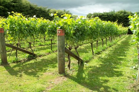 Photo of property in 190 Regent Street, Martinborough, 5711