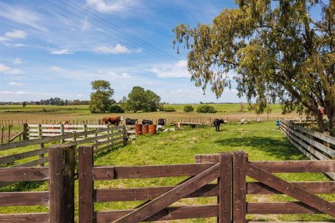 Photo of property in 366 Tutaenui Road, Marton, 4788