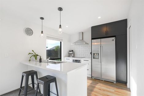 Photo of property in 3 Flock Street, Rolleston, 7615