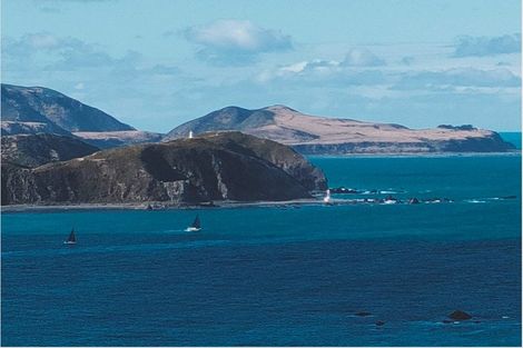 Photo of property in 18 Signallers Grove, Strathmore Park, Wellington, 6022