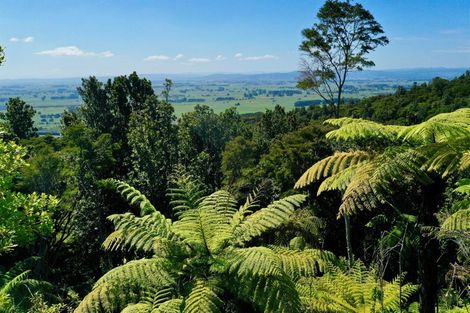 Photo of property in 132 Kokako Heights, Matata, 3194