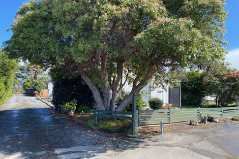 Photo of property in 21a Cadman Street, Dannevirke, 4930